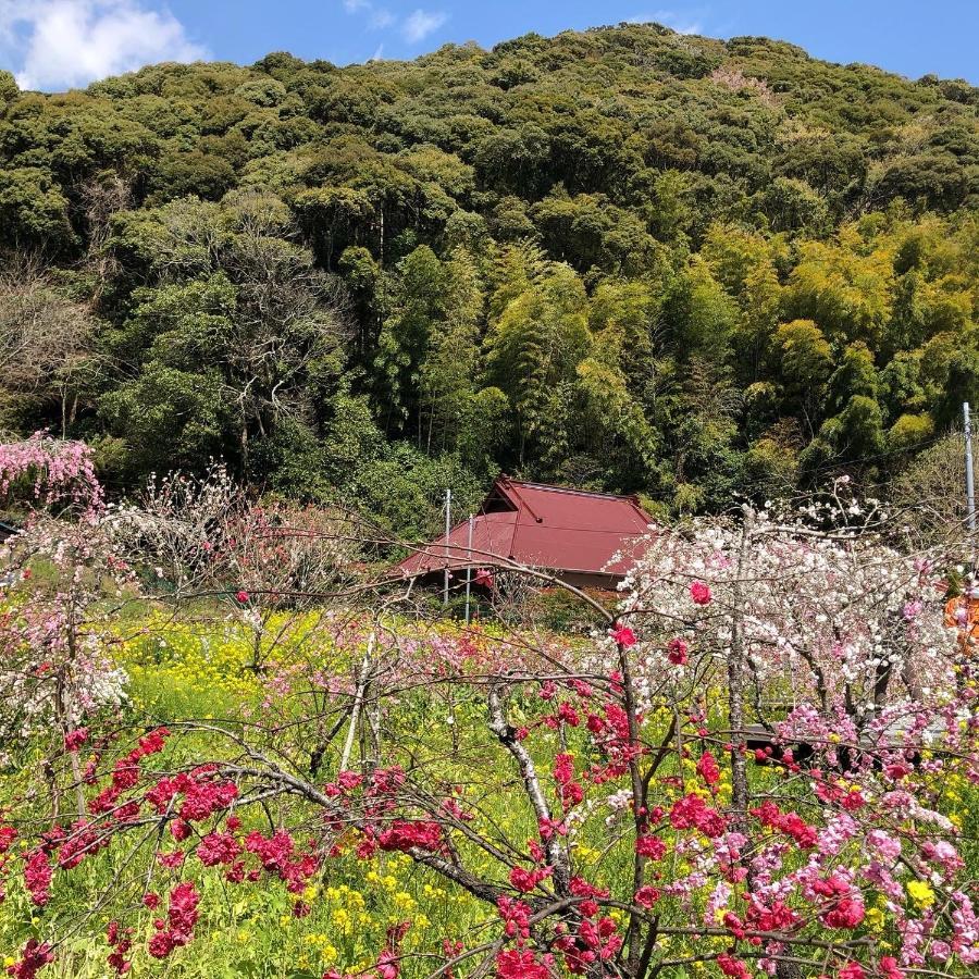 Toraya Attic Villa Shimoda  Luaran gambar