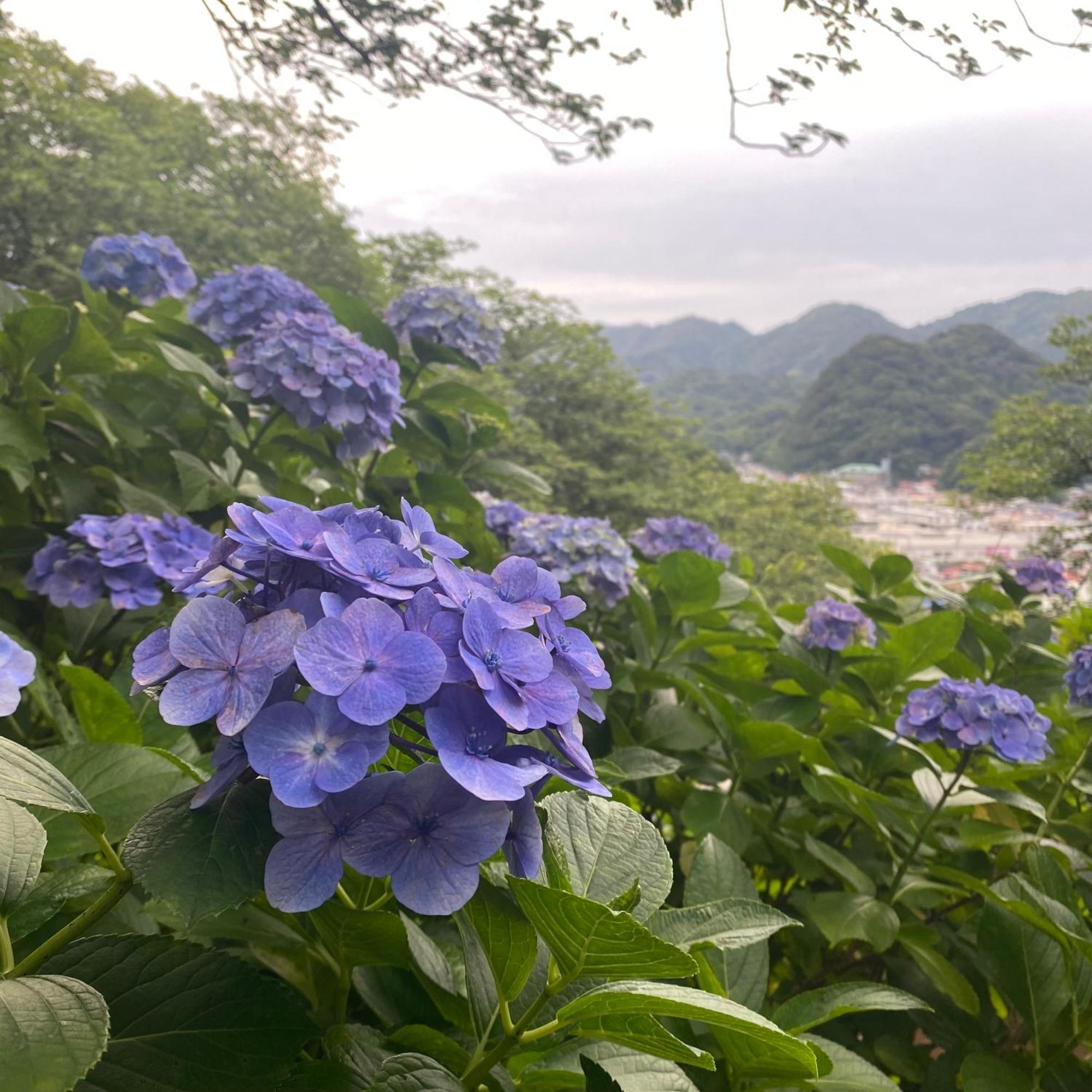 Toraya Attic Villa Shimoda  Luaran gambar